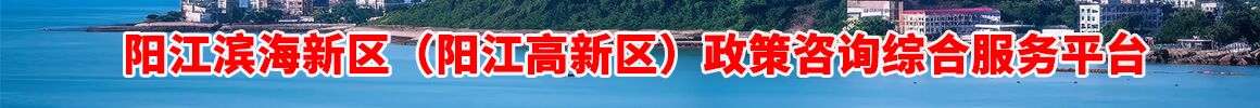 陽江濱海新區(陽江高新區)政策咨詢綜合服務平臺 陽江濱海新區(陽江高新區)政策咨詢綜合服務平臺